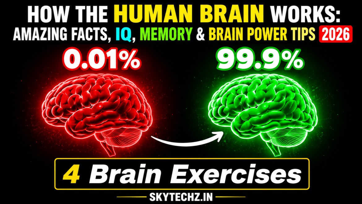 How the Human Brain Works: Amazing Facts, IQ, Memory & Brain Power Tips 2026